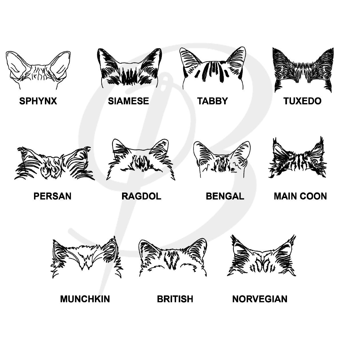 modèles de broderie d'oreilles de 11 races de chat