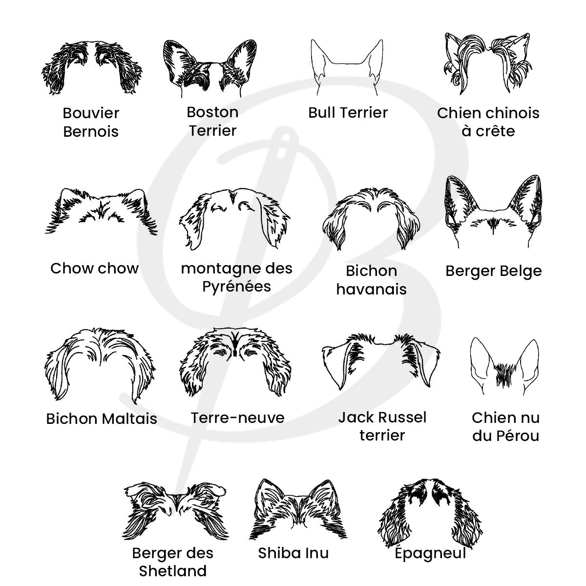 liste de races de chien avec apercu de broderie d'oreilles partie 2