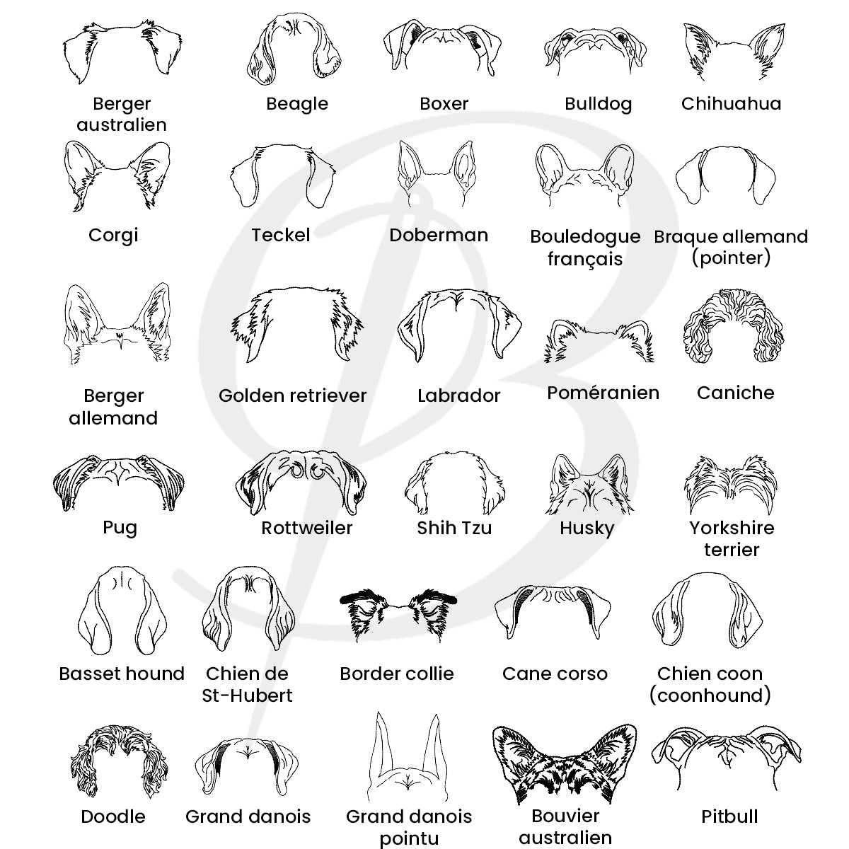 liste de races de chien avec apercu de broderie d'oreilles