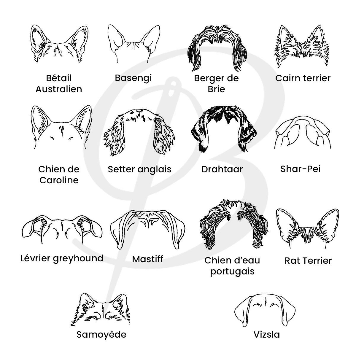 liste de races de chien avec apercu de broderie d'oreilles partie 4